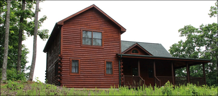 Professional Log Home Borate Application  Vale,  North Carolina